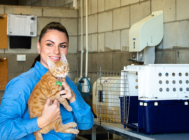 woman holding a cat