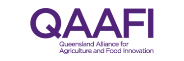 QAAFI logo